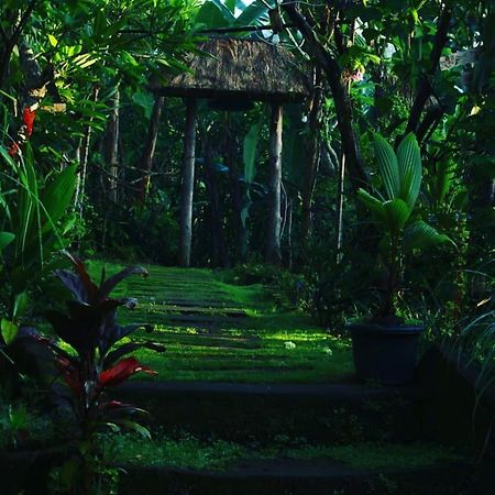 Bucu Hidden Guest House, And Meditation Center Payangan Eksteriør billede