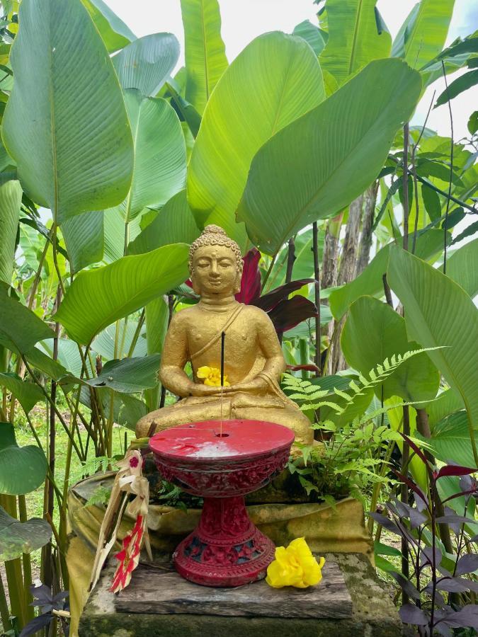 Bucu Hidden Guest House, And Meditation Center Payangan Eksteriør billede