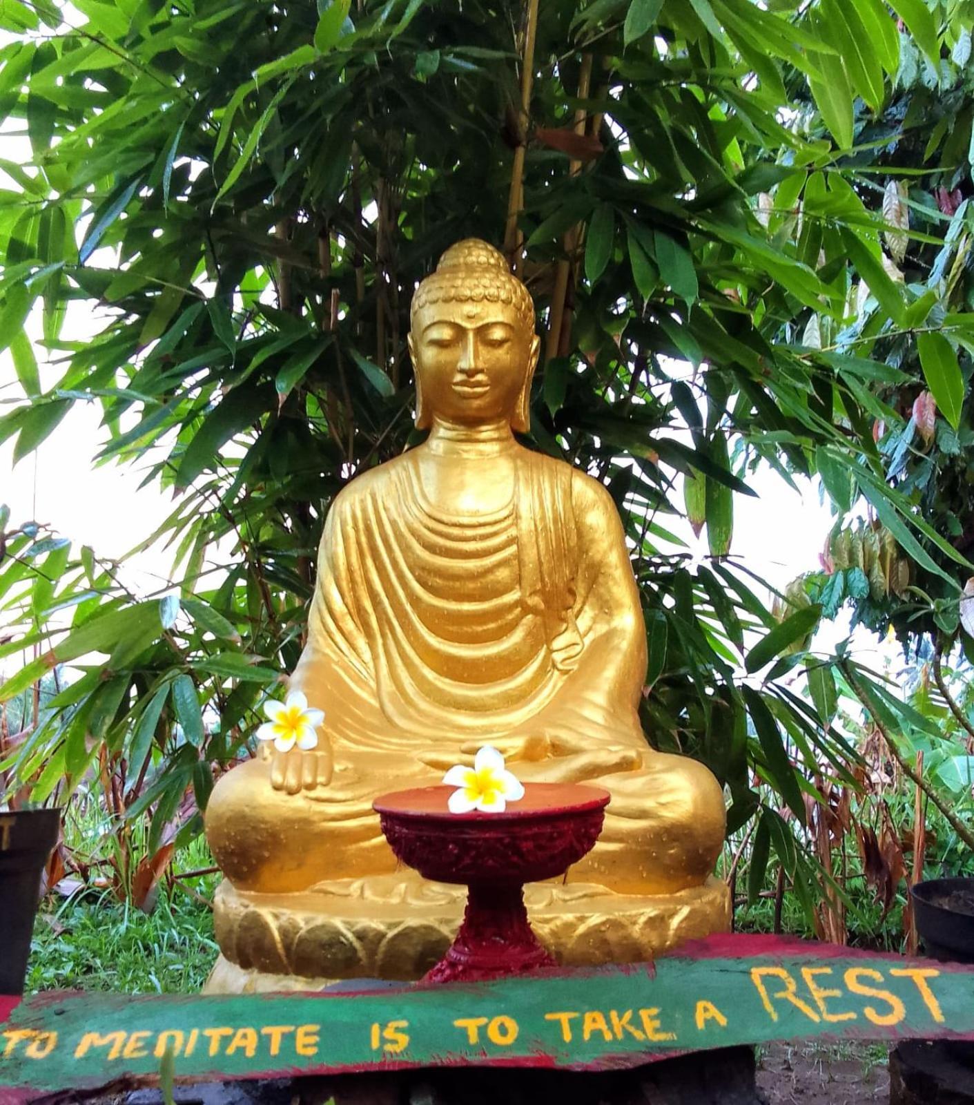 Bucu Hidden Guest House, And Meditation Center Payangan Eksteriør billede