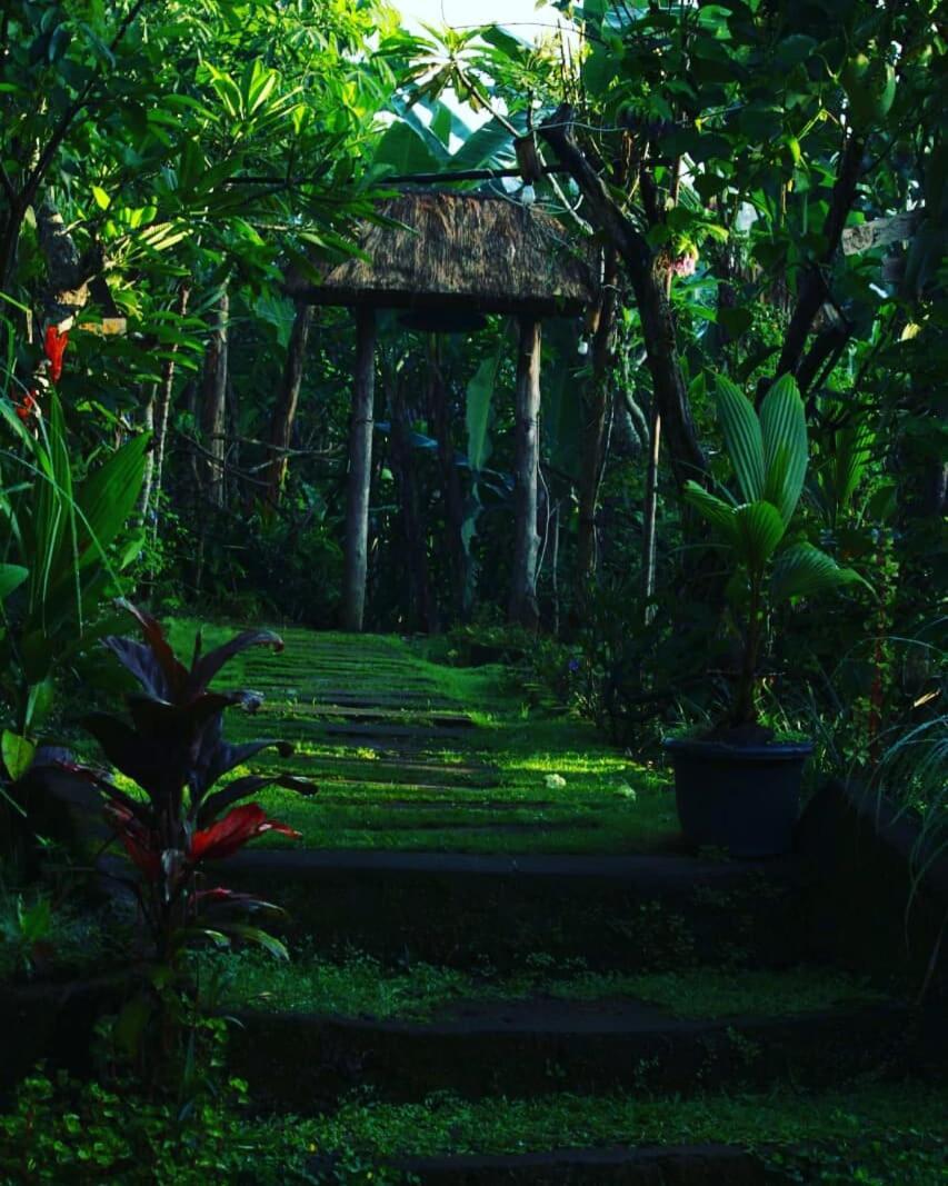 Bucu Hidden Guest House, And Meditation Center Payangan Eksteriør billede